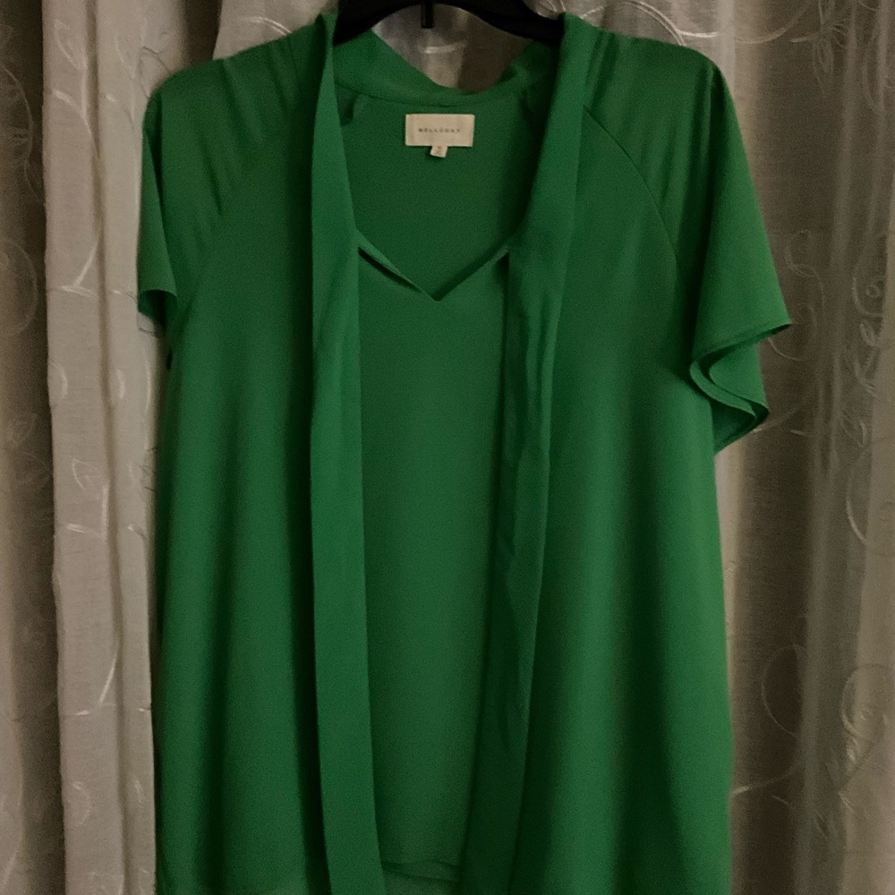 Vibrant green blouse that can be tied into a knot at the chest.